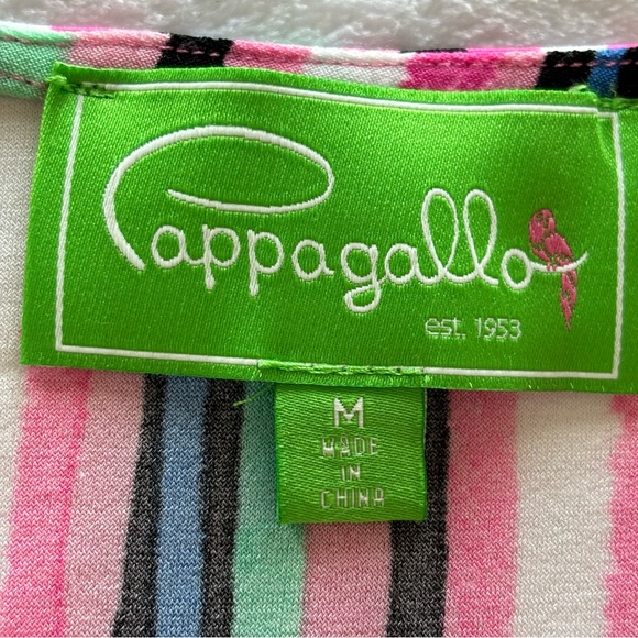 Pappagallo Striped V-Neck Tunic Top--EUC--Sz M - Picture 12 of 16